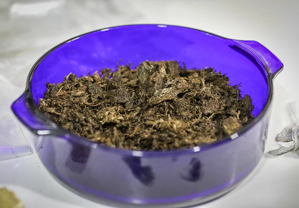 Apreensão de drogas no conjunto Pedro Balzi em Teresina