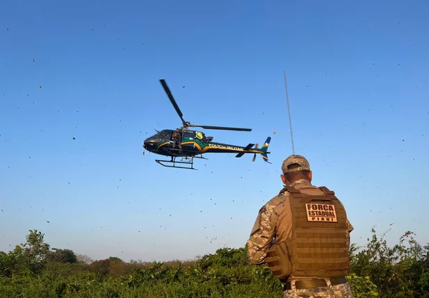 Polícia deflagra operação e prende seis pessoas em Barras