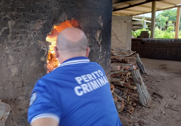 Incineração de drogas apreendidas no litoral do Piauí