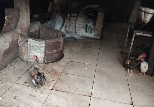 Vigilância Sanitária interdita abatedouro clandestino de ex-prefeito