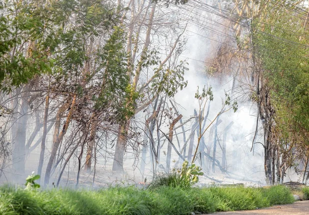 Incêndio destrói vegetação na Avenida Joaquim Nelson em Teresina