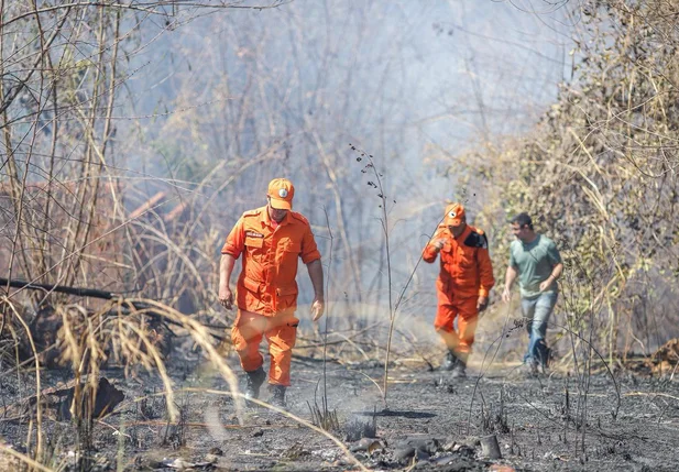 Incêndio em matagal atinge casa e destrói imóvel no bairro Gurupi