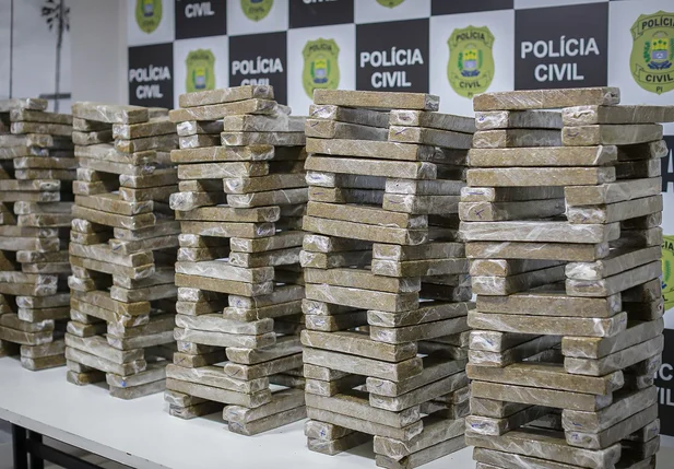 Skunk avaliado em R$ 2 milhões seria enviado ao Comando Vermelho