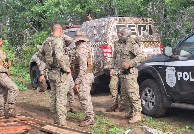 PM descobre plantação com 3 hectares de maconha no Piauí