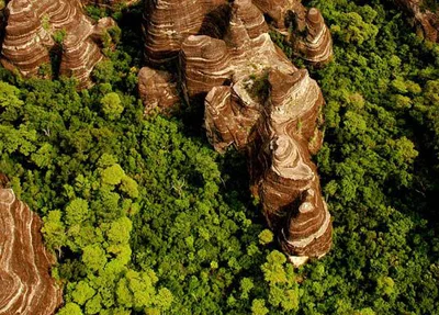 Mata Atlântica na Serra da Capivara