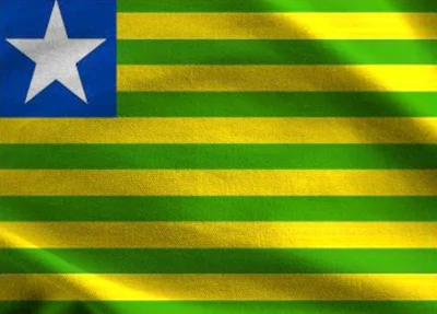 Bandeira do Estado do Piauí