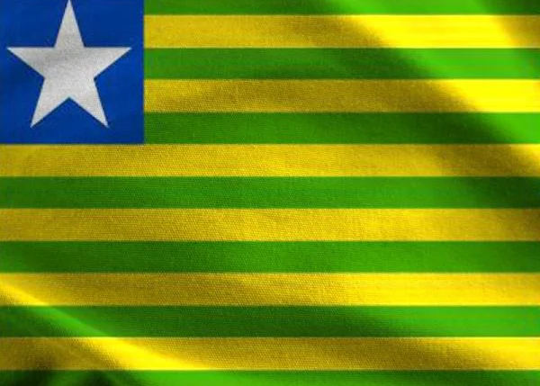 Bandeira do Estado do Piauí