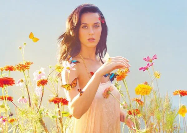 Cantora pop Katy Perry é nova líder de seguidores no Twitt