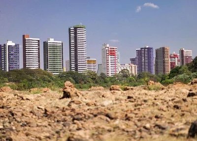 Floresta Fóssil