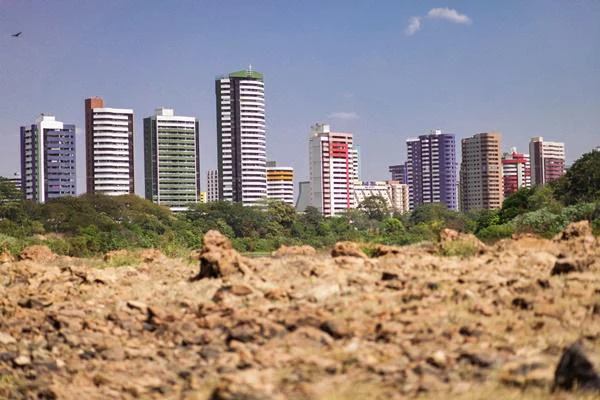 Floresta Fóssil