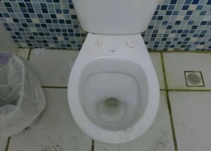 O vaso sanitário funciona sem tampa