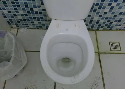O vaso sanitário funciona sem tampa