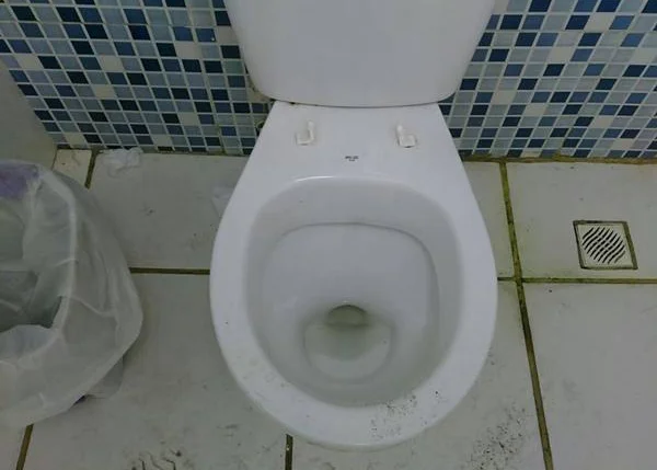 O vaso sanitário funciona sem tampa