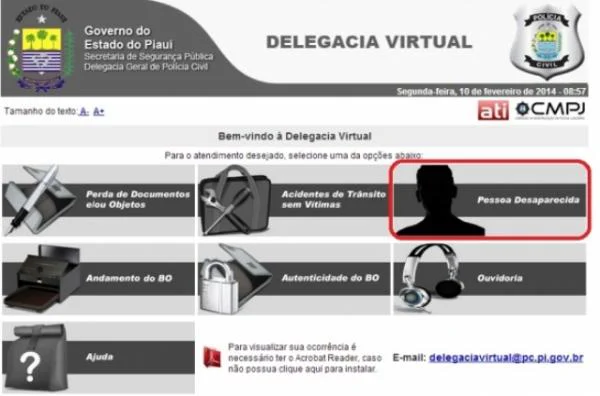 Site da Delegacia Virtual
