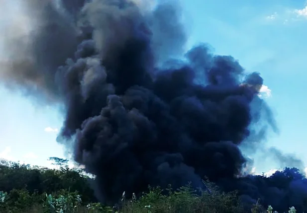 Princípio de incêndio atinge terreno e assusta moradores em Teresina