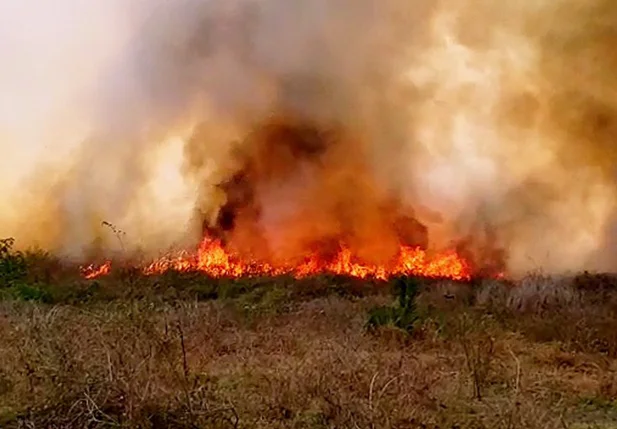 Incêndio de grande proporção atinge fazenda na zona norte de Teresina