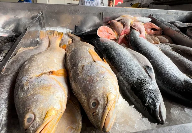 Quaresma: busca por pescados aumenta no Mercado do Peixe de Teresina