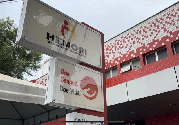 Saiba como fazer doação de medula óssea no HEMOPI