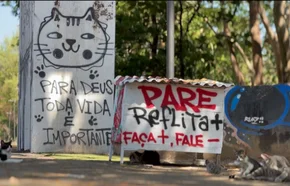 Projeto Gatinhos da Marechal cuida de gatos abandonados em Teresina