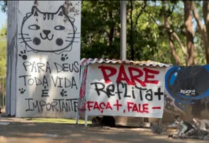 Projeto Gatinhos da Marechal cuida de gatos abandonados em Teresina