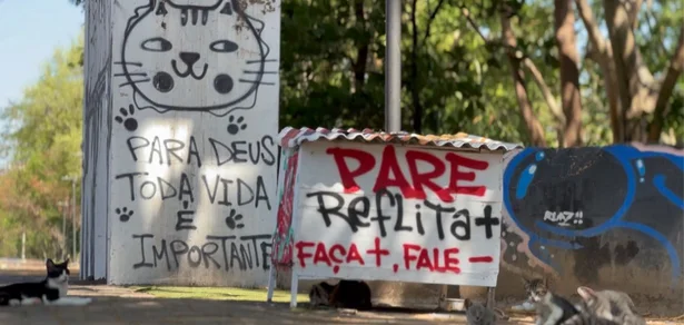 São pelo menos 200 gatinhos e o Instagram do projeto já acumula 19 mil seguidores.
