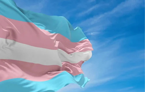 Lutas e conquistas: 20 anos do Dia Nacional da Visibilidade Trans