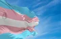 Lutas e conquistas: 20 anos do Dia Nacional da Visibilidade Trans