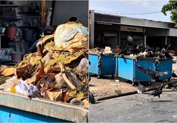 Comerciantes denunciam acúmulo de lixo e urubus no Mercado do Parque Piauí